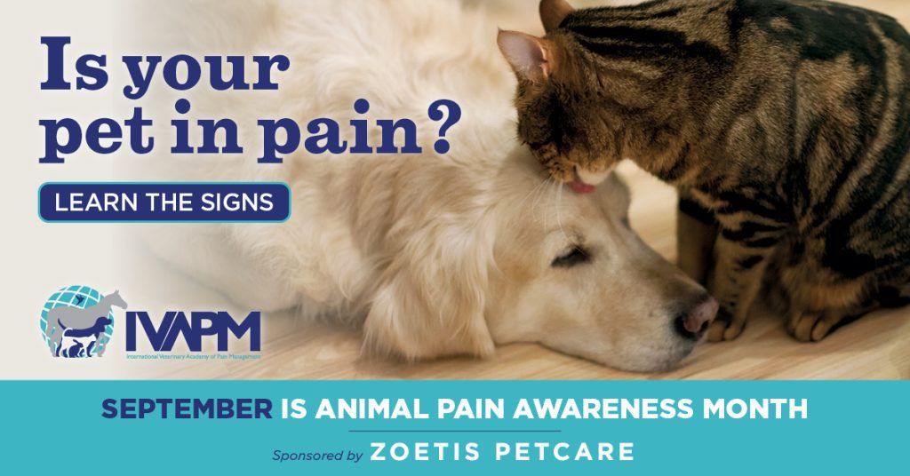 Animal Pain Awareness Month