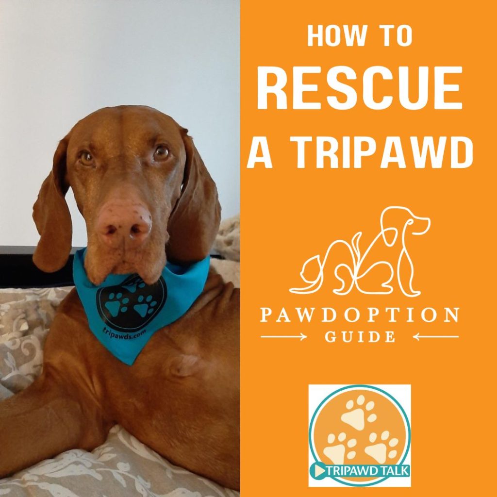 how to rescue a Tripawe