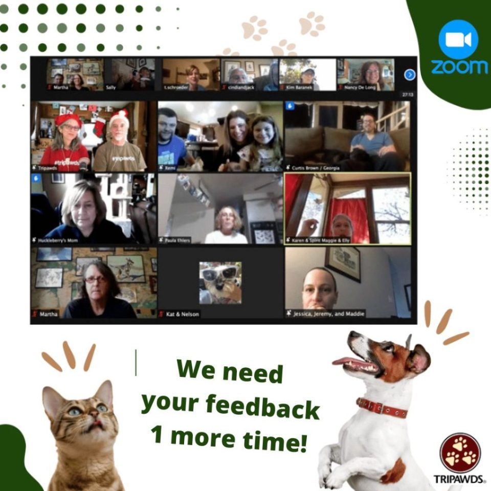 Tripawds Zoom Gathering Feedback Needed Tripawds