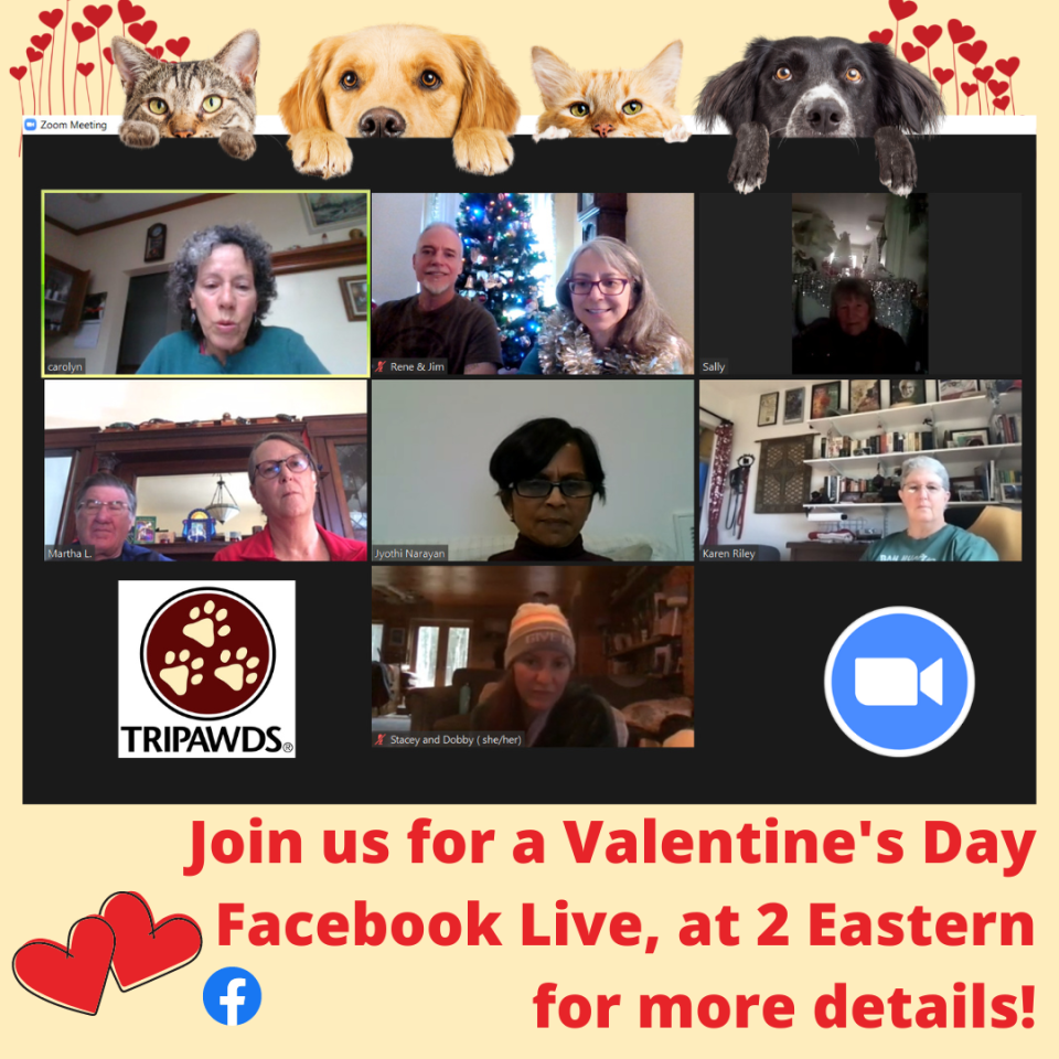 Facebook Live with Tripawds February 14 2023