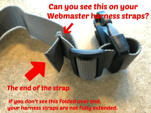 Tripawd dog harness straps extended