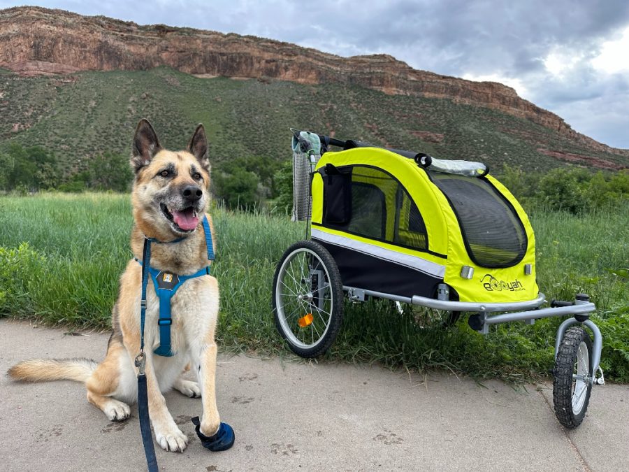 3 Tripawd Dog Strollers That Rock (and Roll!) Tripawds