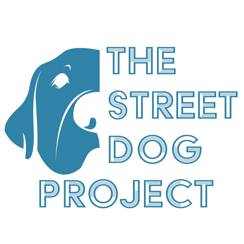 The Street Dog Project Tripawd Tuesday Harper's Home Search