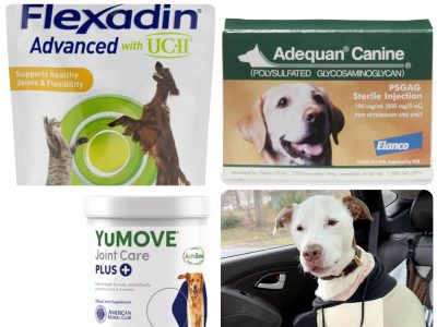 joint supplements for older three legged dogs