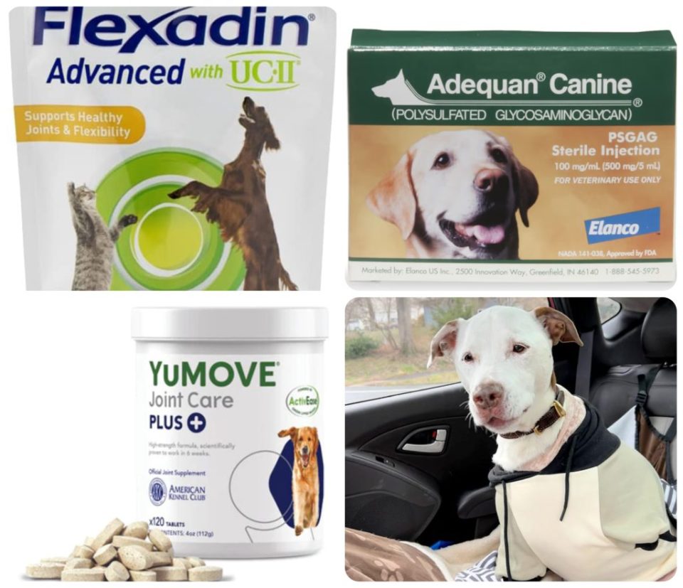 American kennel club hip and joint treats best sale