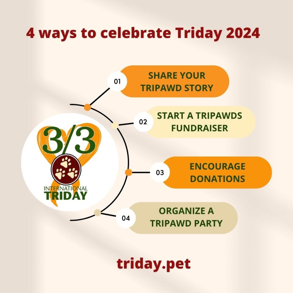 Triday 2024 ideas to share Tripawd awareness day