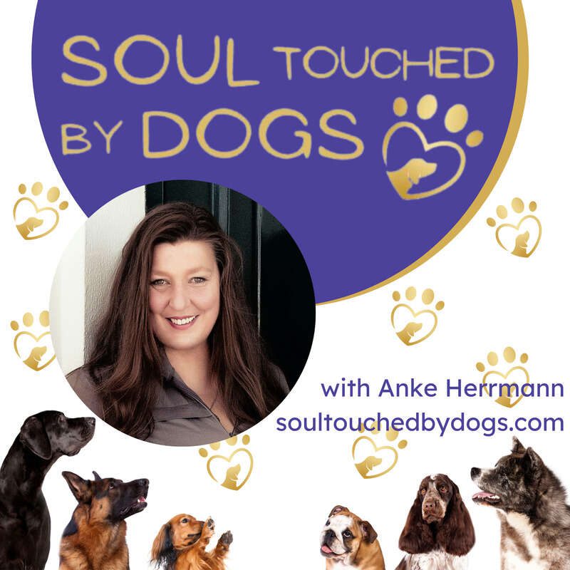 Join the Soul Touched by Dogs community!