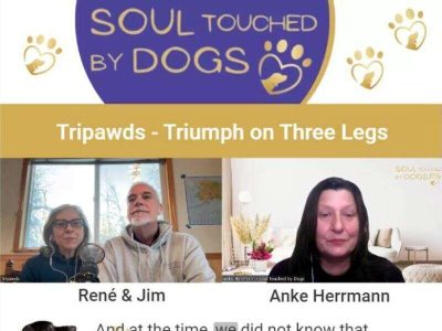 Tripawds and Soul Touched by Dogs Podcast