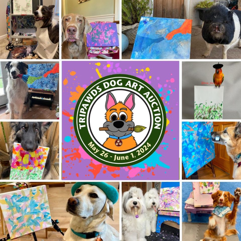 Animal artists help amputee pets with cancer at the 2024 Tripawds Dog Art Auction