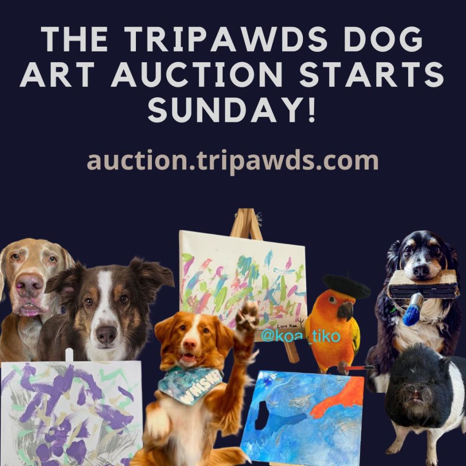 Tripawds 2024 Dog Art Auction Starts Sunday May 26