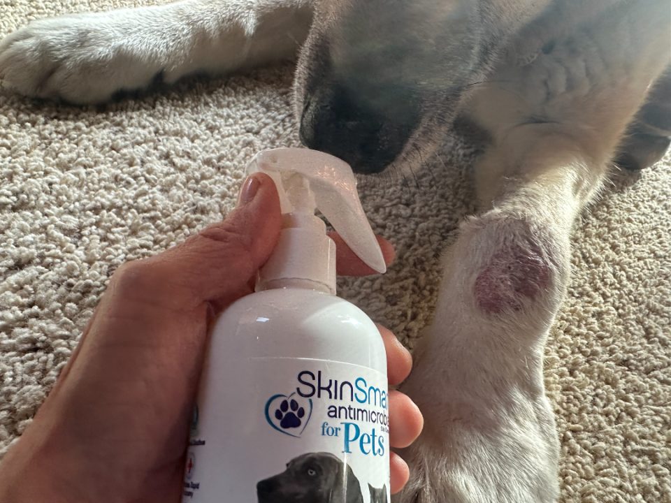SkinSmart wound care for pets