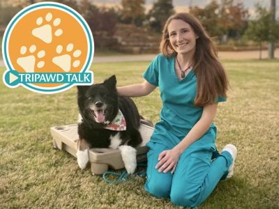 Dr. Emily Hall Behavioral Therapy and Canine Rehabilitation Expert