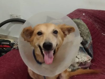 Ria after amputation surgery