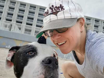 Celebrate Tripawd Tuesday, Nova the Senior Bulldog Hero