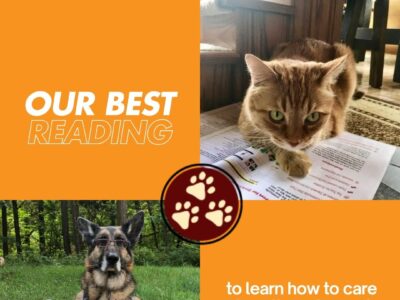 Tripawds Best Reading for Pet Parents