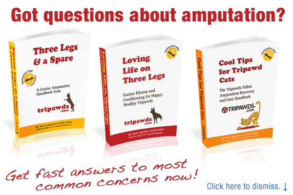 Pet amputation books by Tripawds