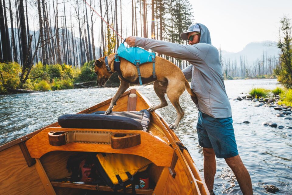 Tapeats Tripawd Tests  Ruffwear Confluence Dog Life Jacket