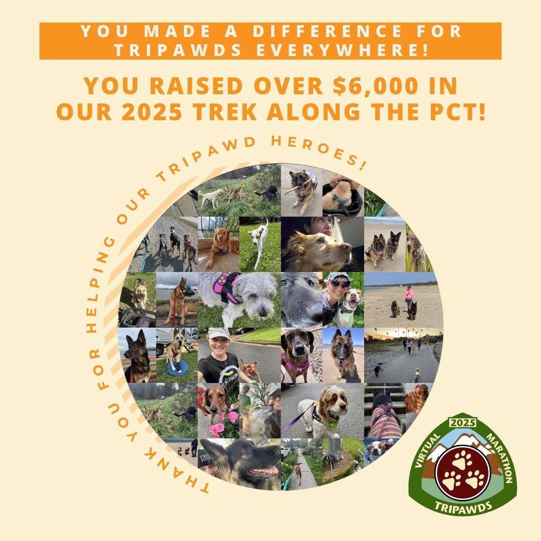 Tripawds 2025 Virtual Race Results Thank You