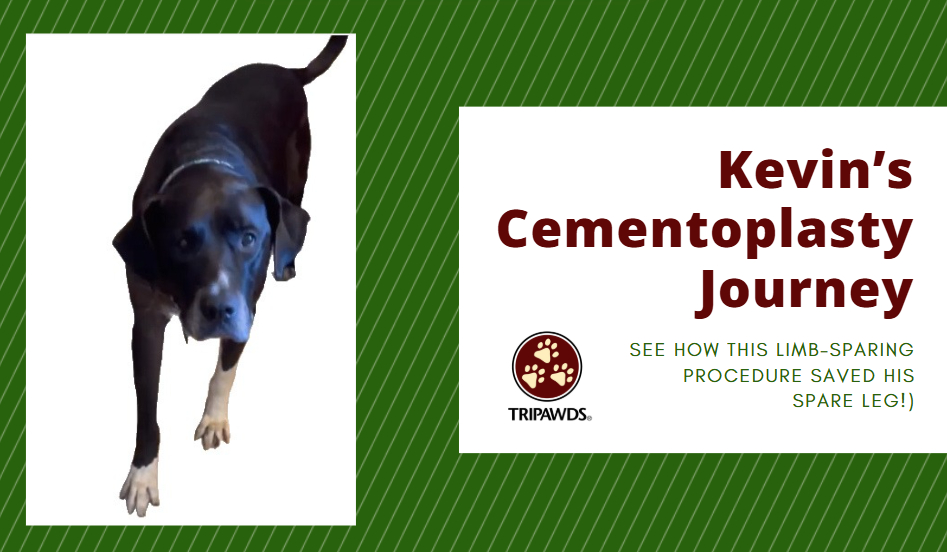 Kevin's journey with cementoplasty instead of amputation surgery