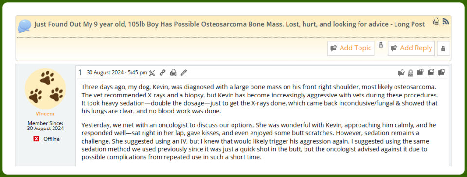 Read about Kevin's cementoplasty instead of amputation in the Tripawds Discussion Forums Archive