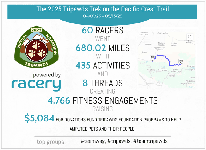 recordbreaking Tripawds 2025 virtual race stats