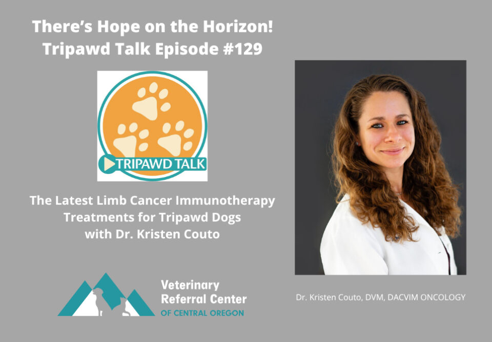 The Latest Limb Cancer Immunotherapy Treatments for Tripawd Dogs, with Dr. Kristen Couto, Tripawd Talk Episode #129