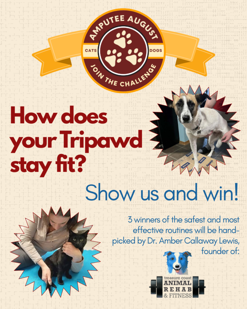 Join the 2025 Amputee August Tripawds Fitness Challenge!