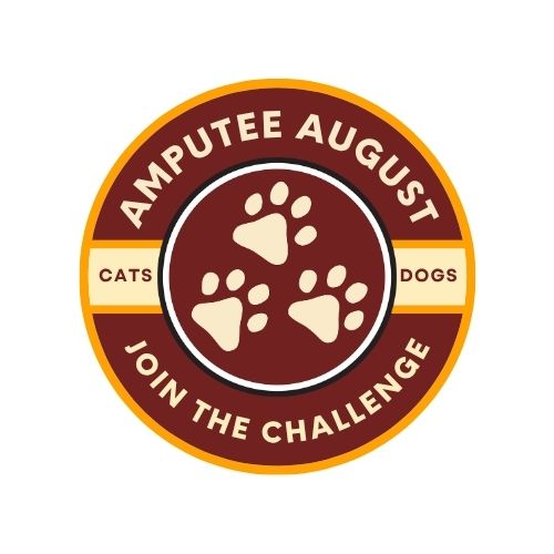 2025 Amputee August Fitness Challenge