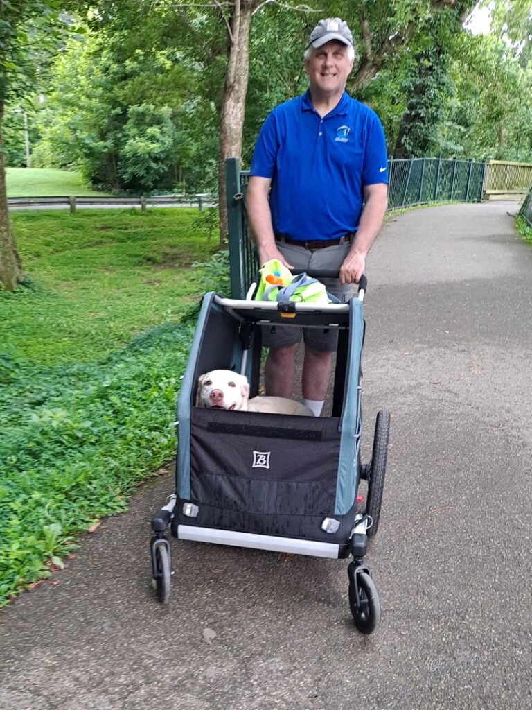 Tripawd Jack in a Burley Bark Ranger Dog Stroller with Dad