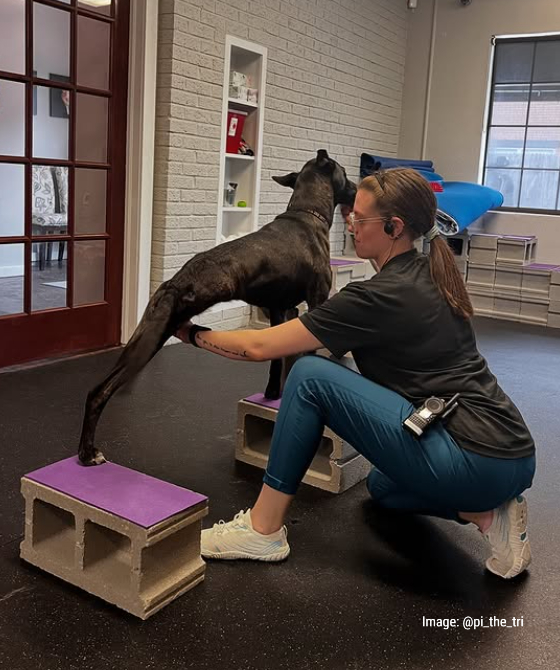 Pi the Tri Tripawds Fitness Challenge 2025