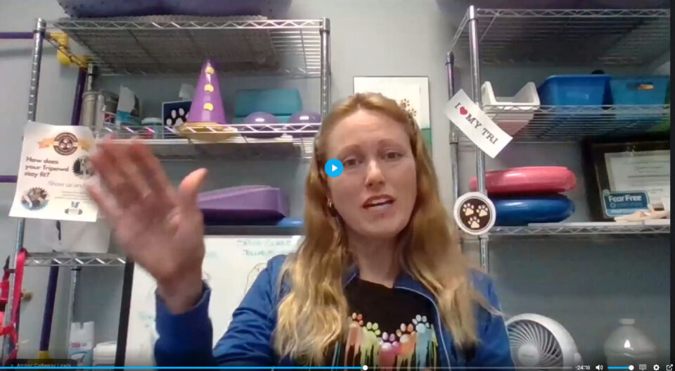 Dr. Amber Callaway Lewis Treasure Coast Animal Rehab Vero Beach Florida