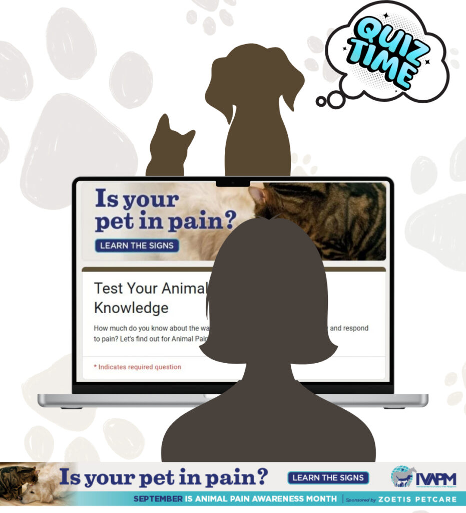 take the Tripawds Animal Pain Awareness Quiz