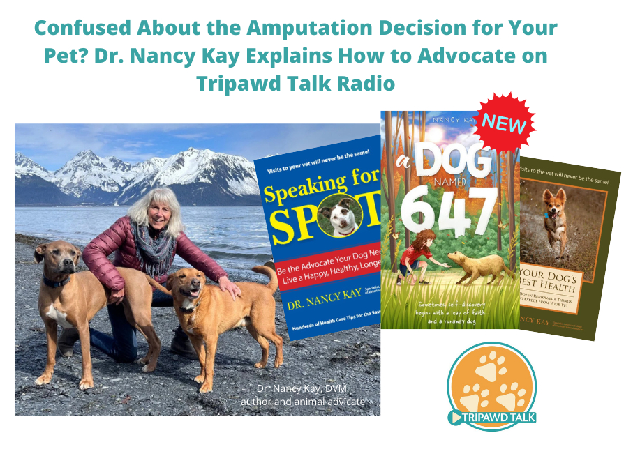 Animal Advocate Dr. Nancy Kay Teaches How to Make the Dog Amputation Decision on Tripawd Talk Radio
