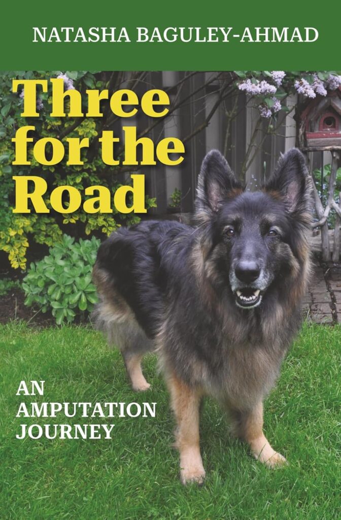 Three for the Road: An Amputation Journey by Natasha Baguley-Ahmad