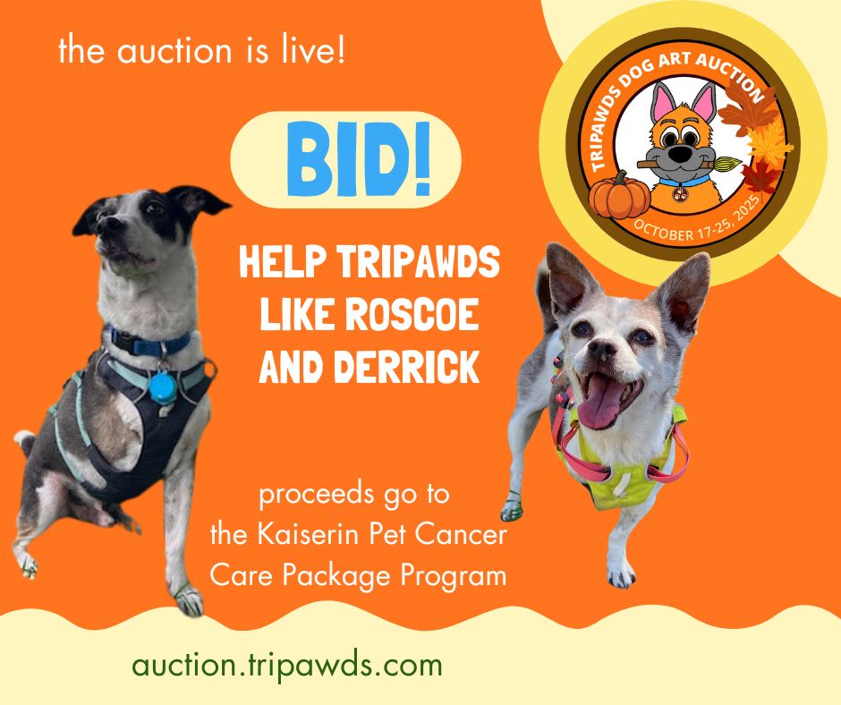 Bid on Tripawds 2025 Dog Art Auction to help amputee dogs and cats