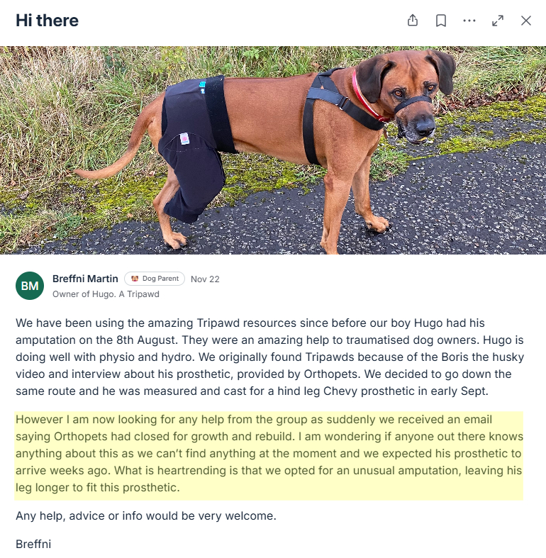 Breffni tells us about Orthopets closing without warning.