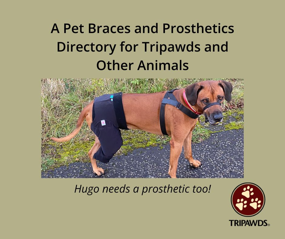 Prosthetics and Orthotics Directory for Tripawds and Other Animals