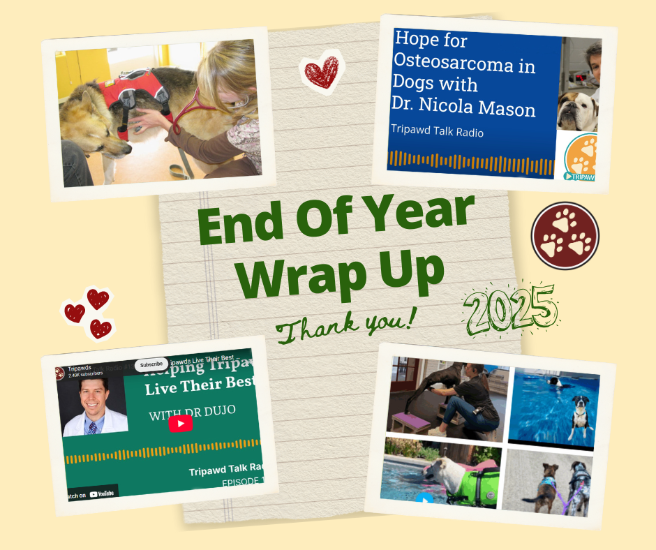 Best of 2025 Tripawds Tips