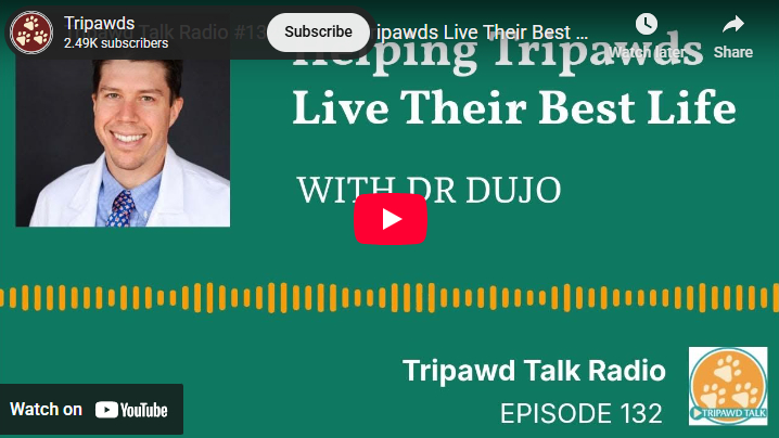 Dr. Dujo explains orthopedic care for Tripawds