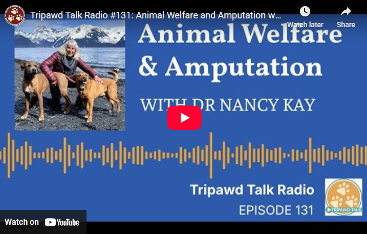 Learn how to speak up for your pet at the vet!