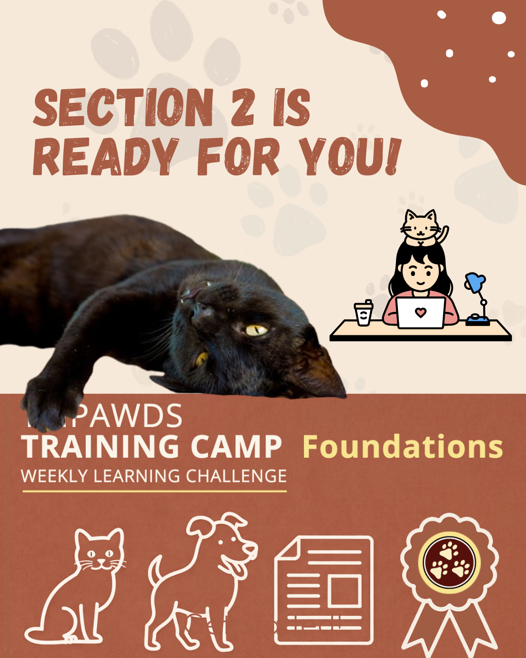 Section 2 of Tripawds Learning Challenge is Open