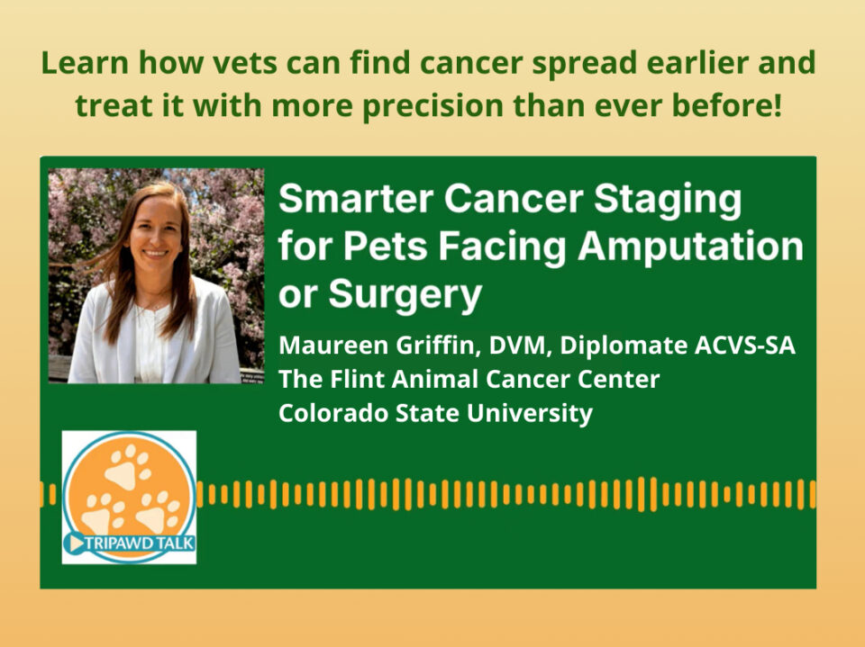 Tripawd Talk Radio with Dr. Maureen Griffin, a surgical oncologist at Colorado State University's Flint Animal Cancer Center.
