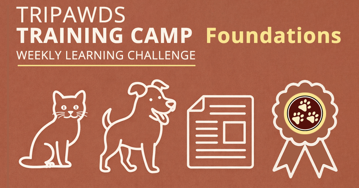 Tripawds Foundations