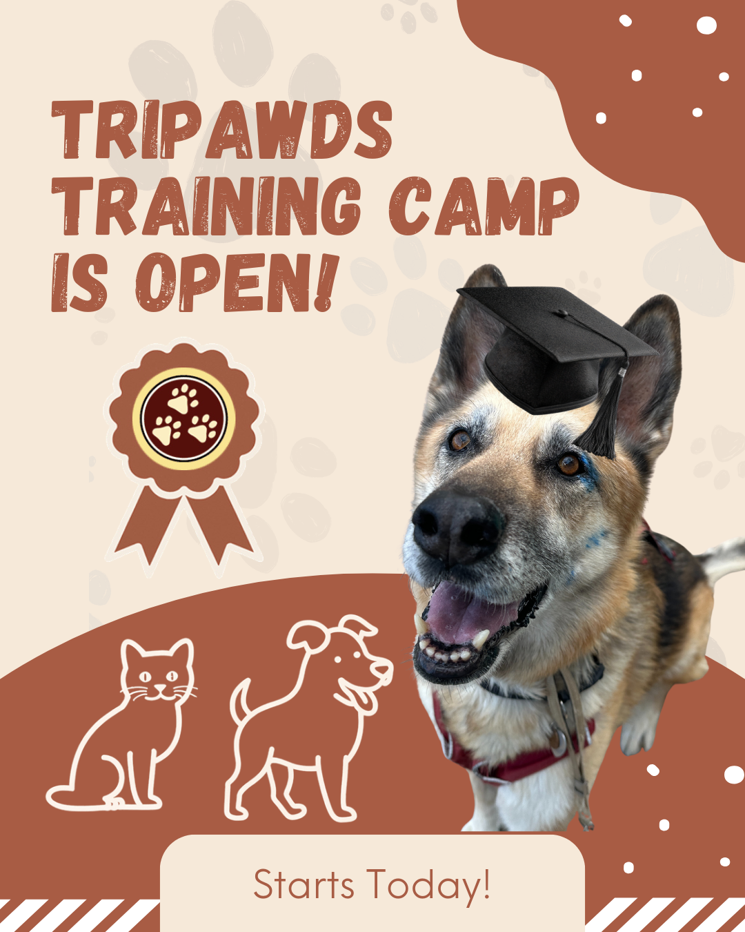 Tripawds Training Camp Opens Today