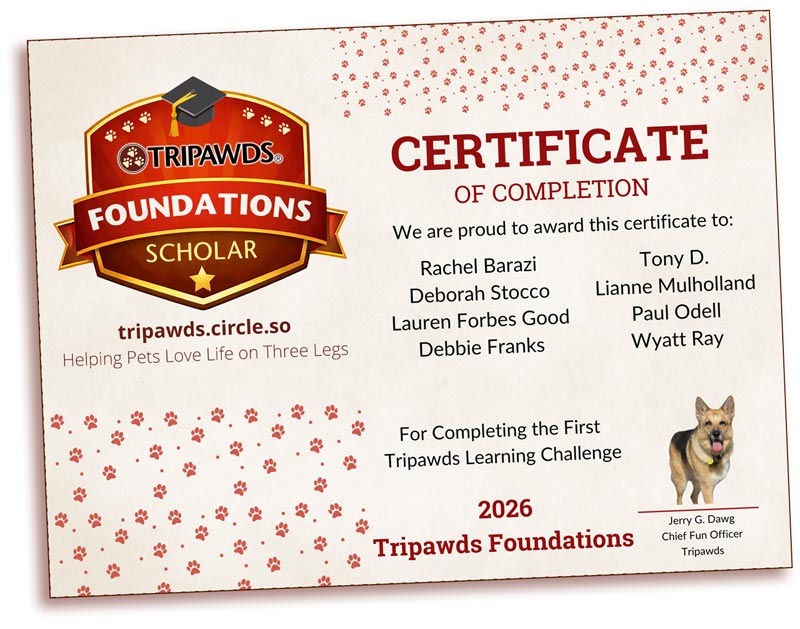 Tripawds Foundations Scholars