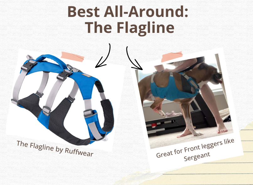 Get the Flagline at Tripawds Gear Shop