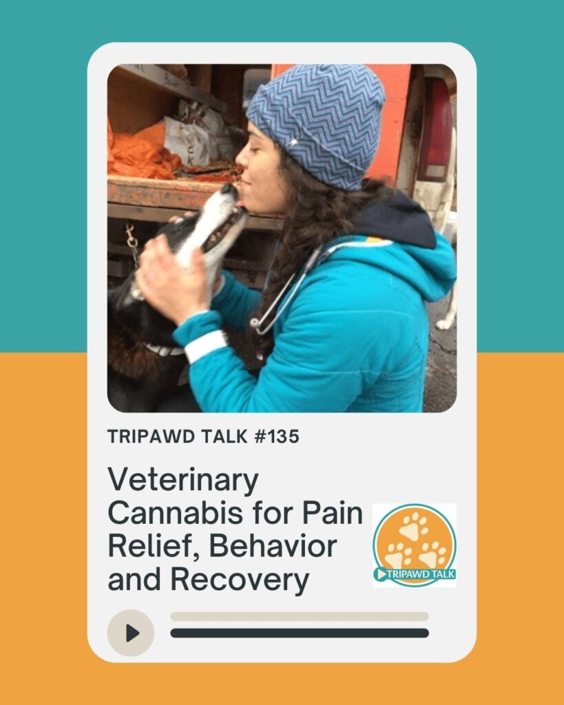 Dr. Casara Andre, DVM, veterinary cannabis expert