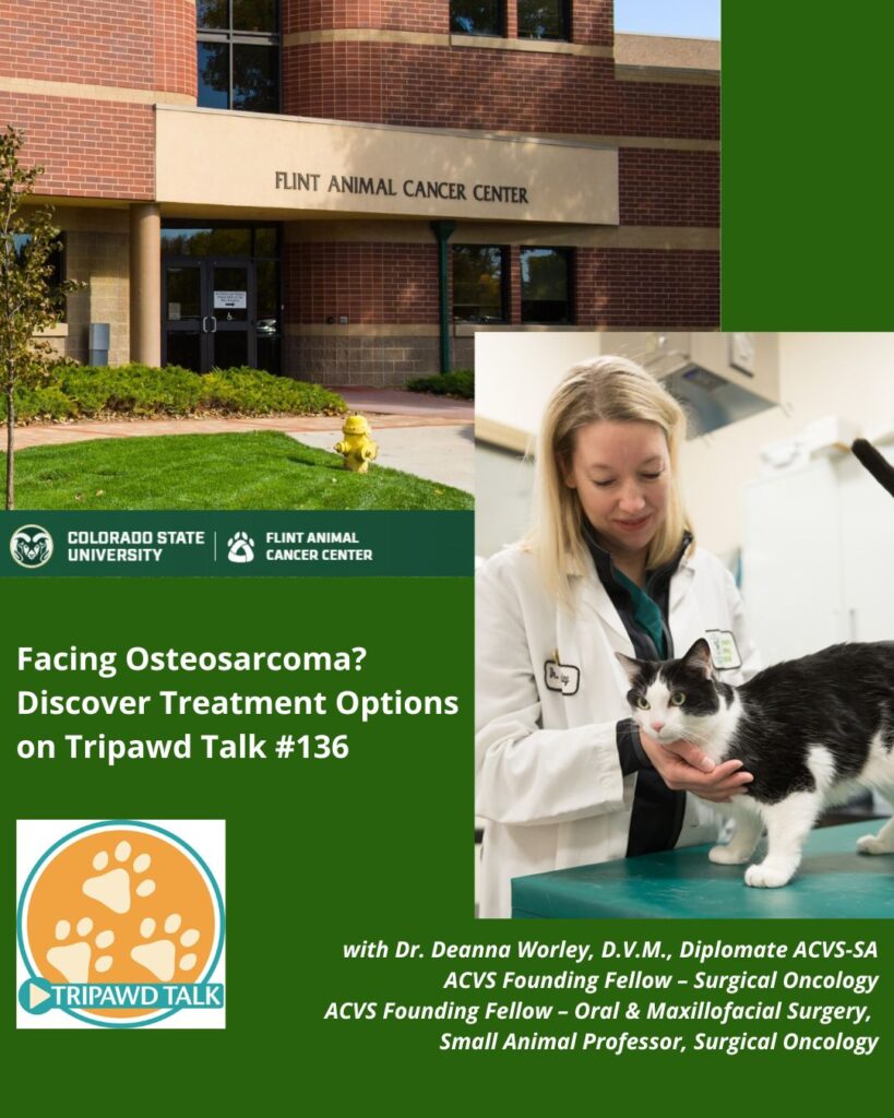 Tripawd Talk welcome Dr. Deanna Worley from the Colorado State University Flint Animal Cancer Center!