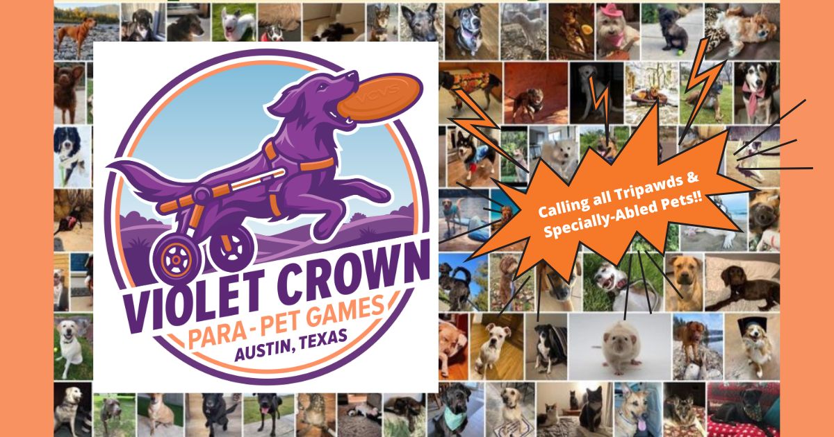 Tripawds wanted to join the Para-Pet Games in Austin