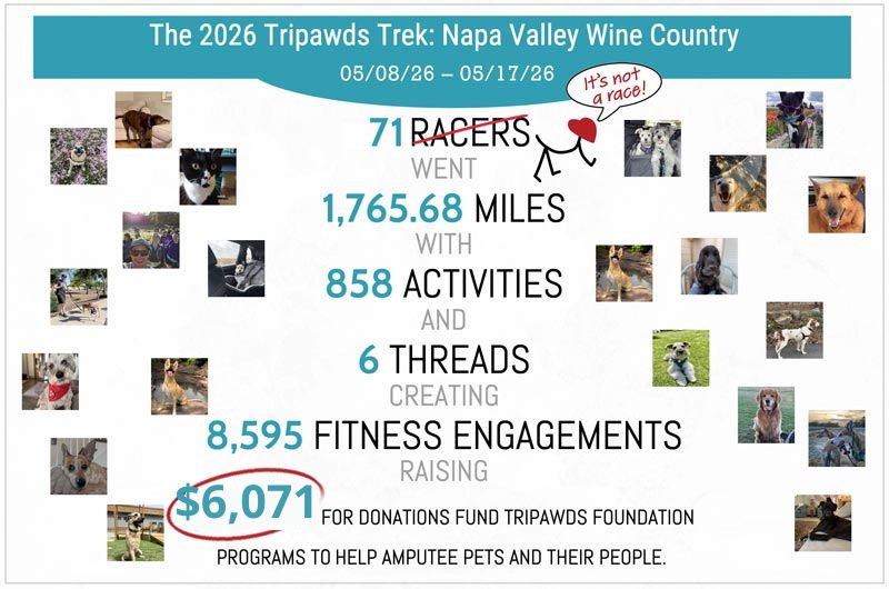2026 Tripawds Virtual Race Recap